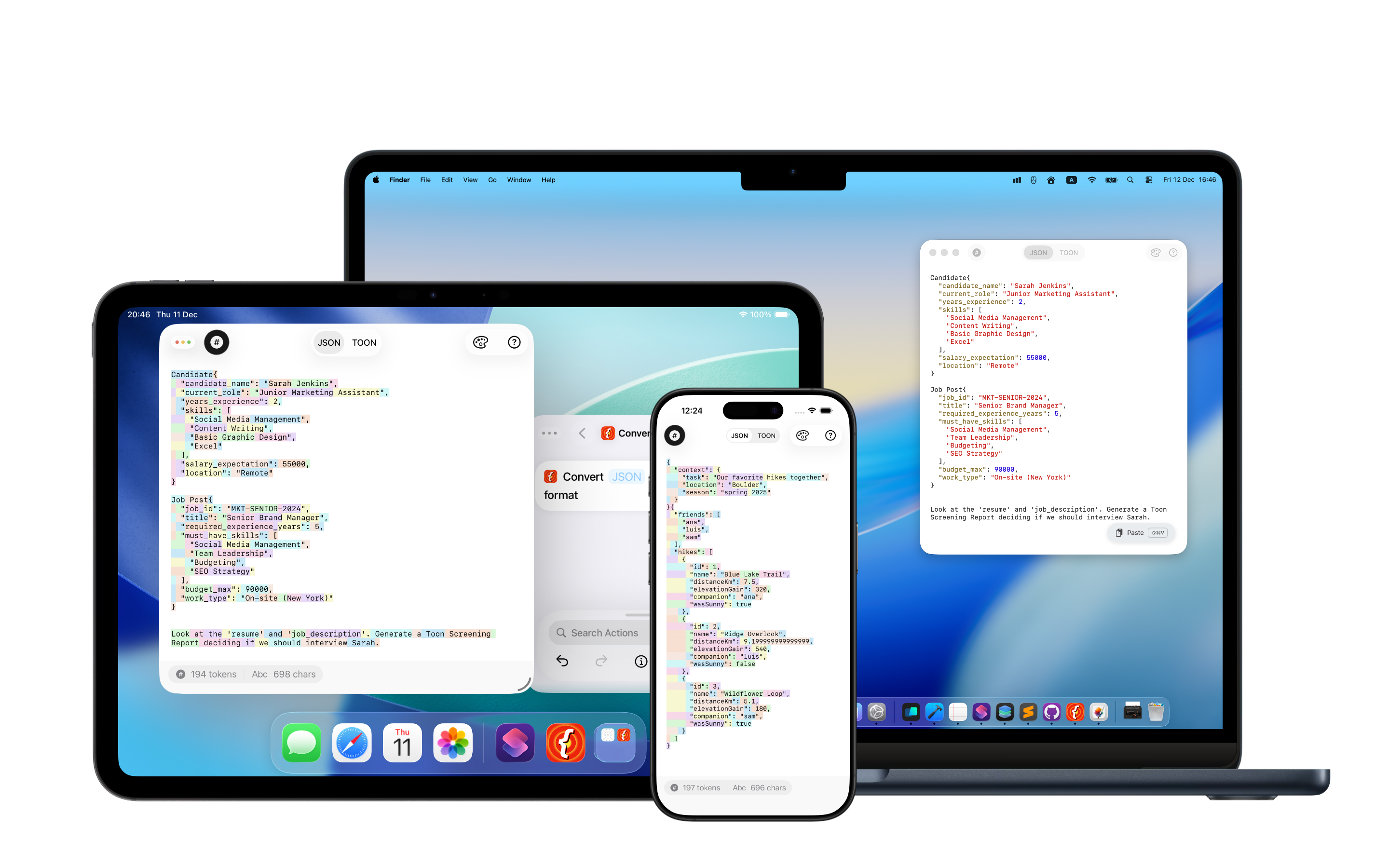Json2Toon App Interface